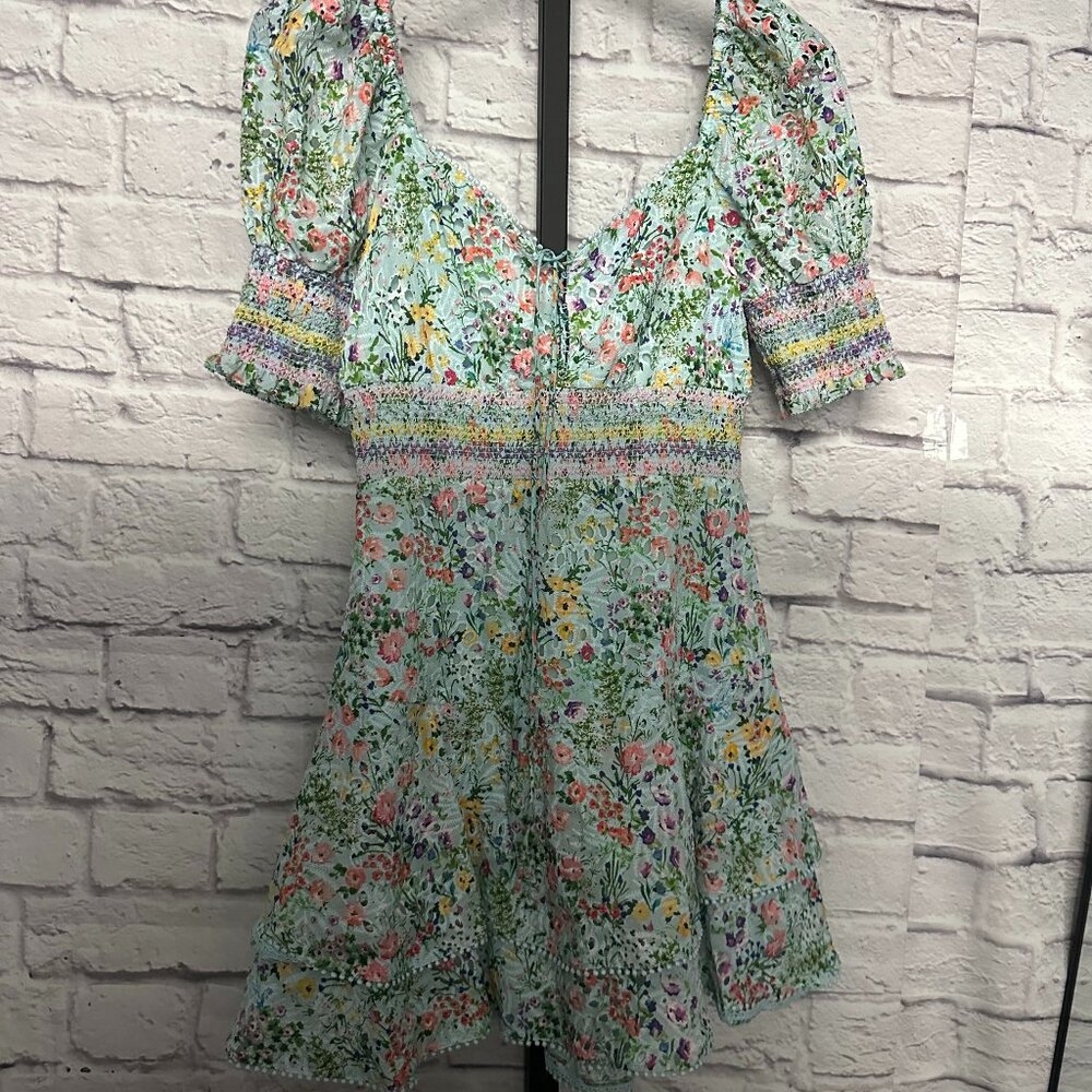 Alice and Olivia Crawford Sweetheart Mini Dress